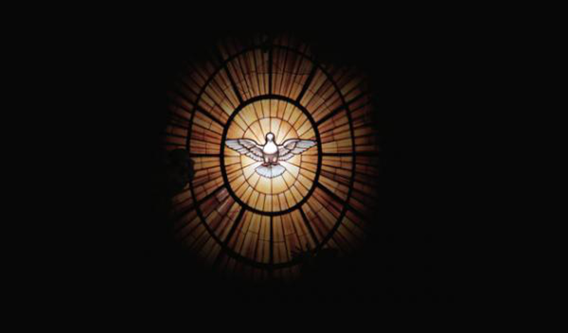 La colombe du Saint-Esprit, vitrail de l'abside de la basilique Saint-Pierre | © Pierre Pistoletti)
