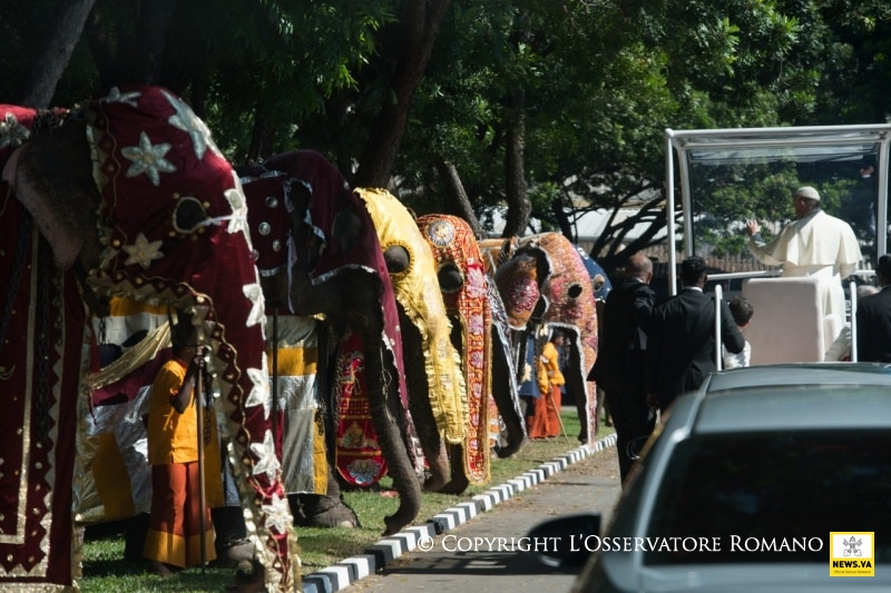 Le pape François reçu au Sri lanka (Photo: Copyright Osservatore romano)