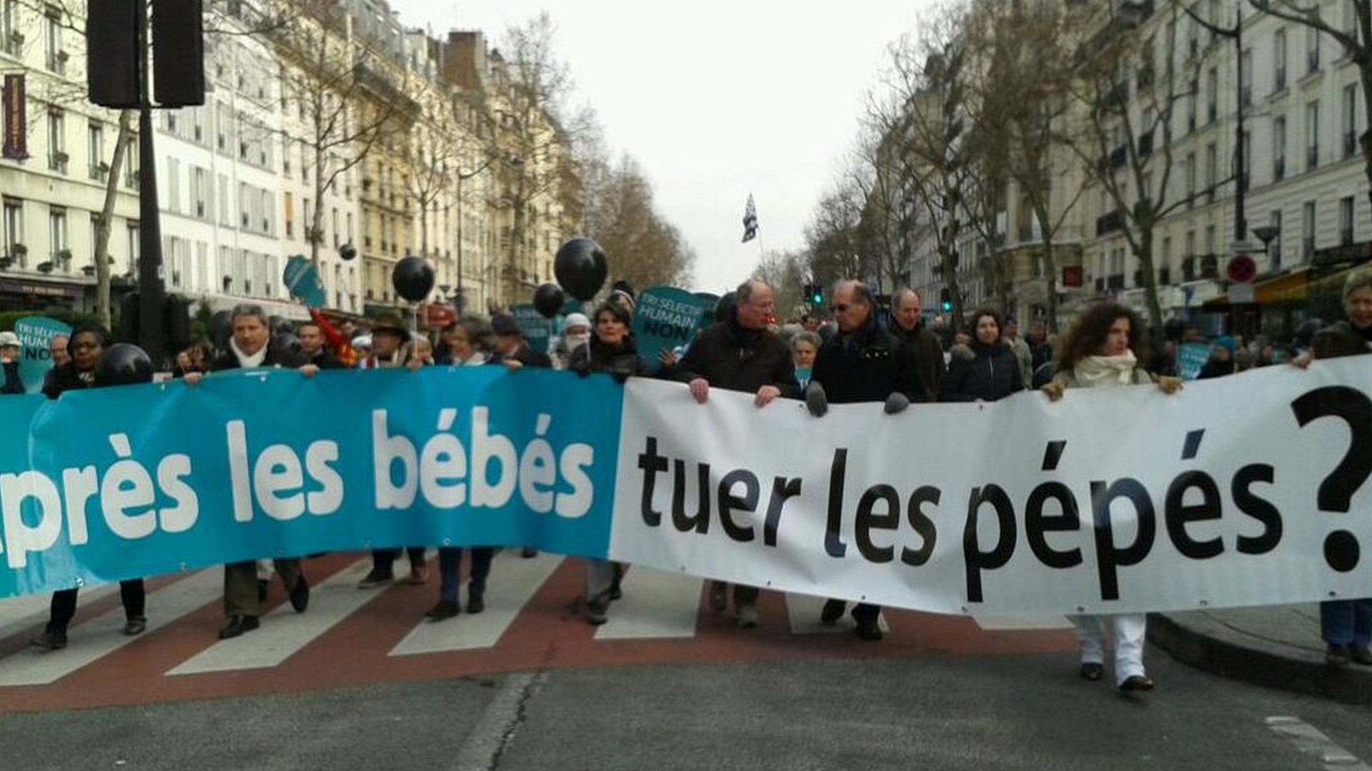 La 'Marche pour la vie' 2015 à Paris (photo MPV)