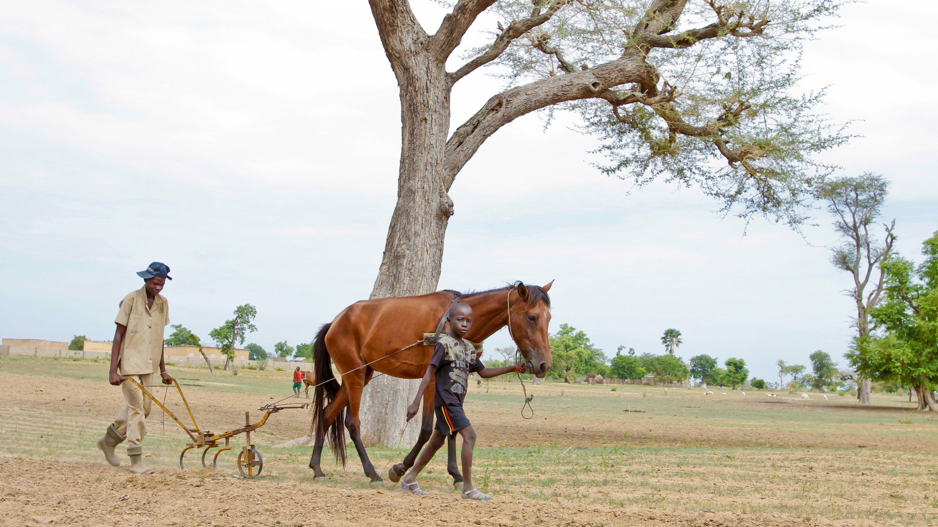 Famille d'agriculteurs au Sénégal (Image: Campagne de Carême 2015)