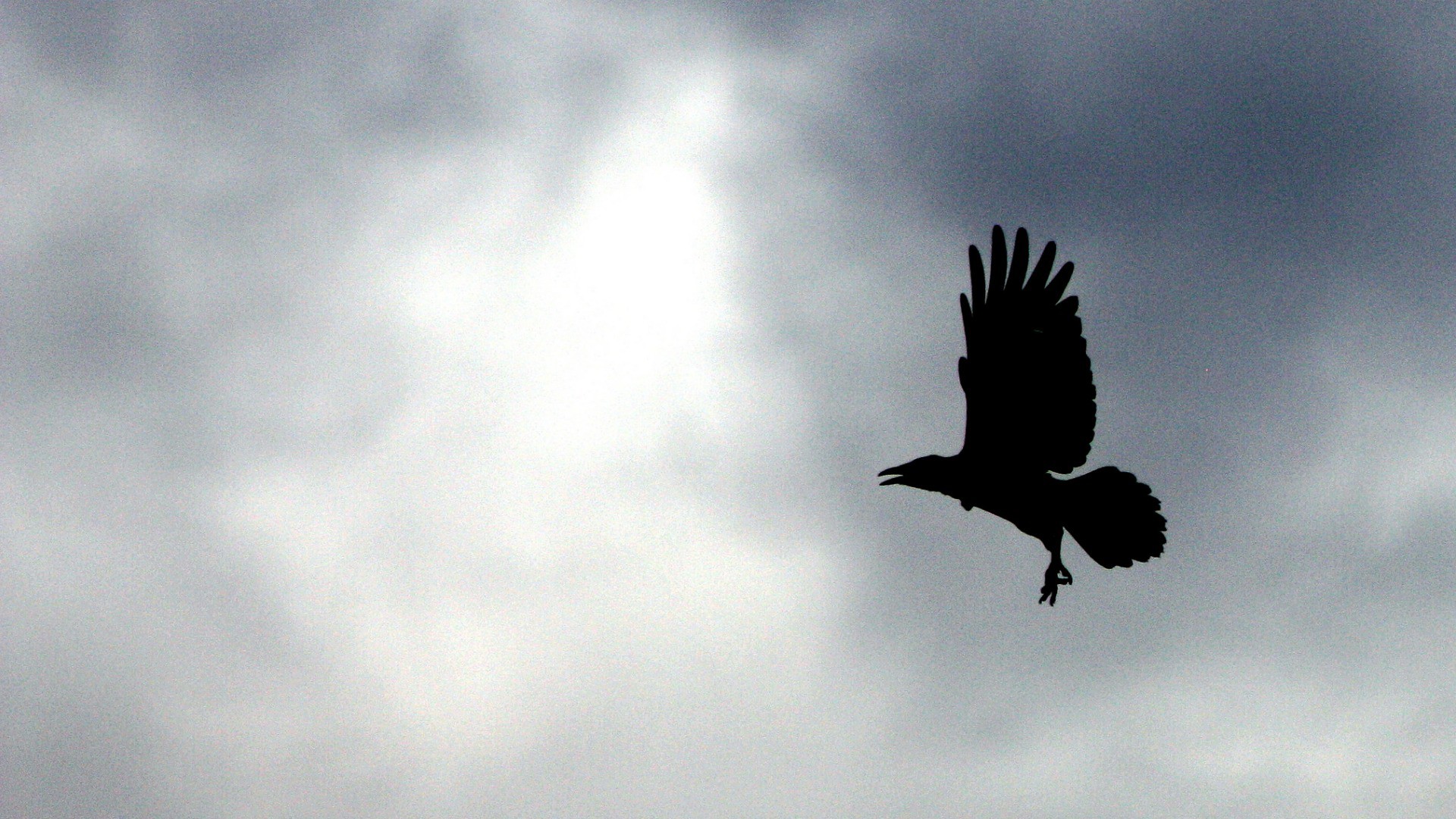 Les "corbeaux" sont de retour au Vatican (Photo: Jeffery Scism/Flickr/CC BY-NC 2.0)