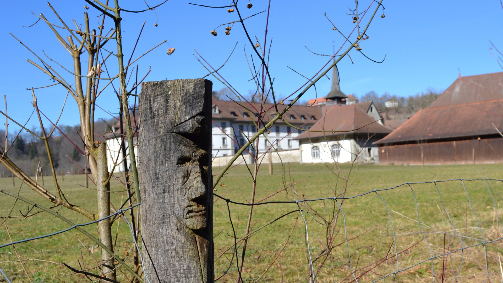  Ce gardien de l'Abbaye d'Hauterive ne laisse passer personne (photo Georges Scherrer 2015) 