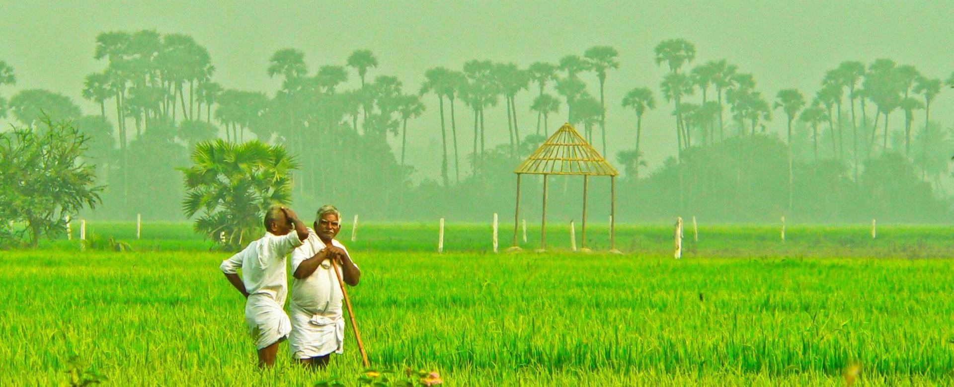 Le Premier ministre indien veut faciliter l'expropriation des paysans (Photo:Sarath Kuchi/Flickr/CC BY-SA 2.0)