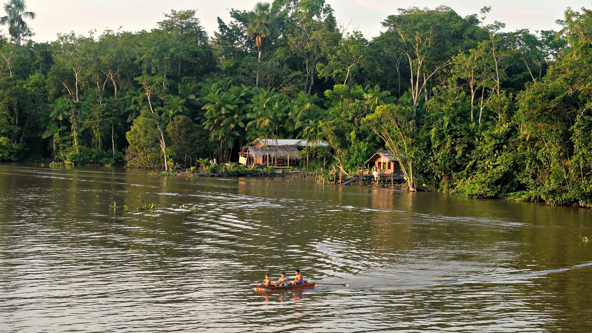 Habitations en Amazonie (photo Flickr: 
We travel the world CC BY-NC-ND 2.0)
