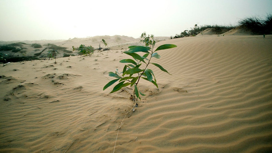 L'encyclique du pape éveillera-t-elle les consciences sur l'environnement? (Photo:UN Photos/Flickr/CC BY-NC-ND 2.0)