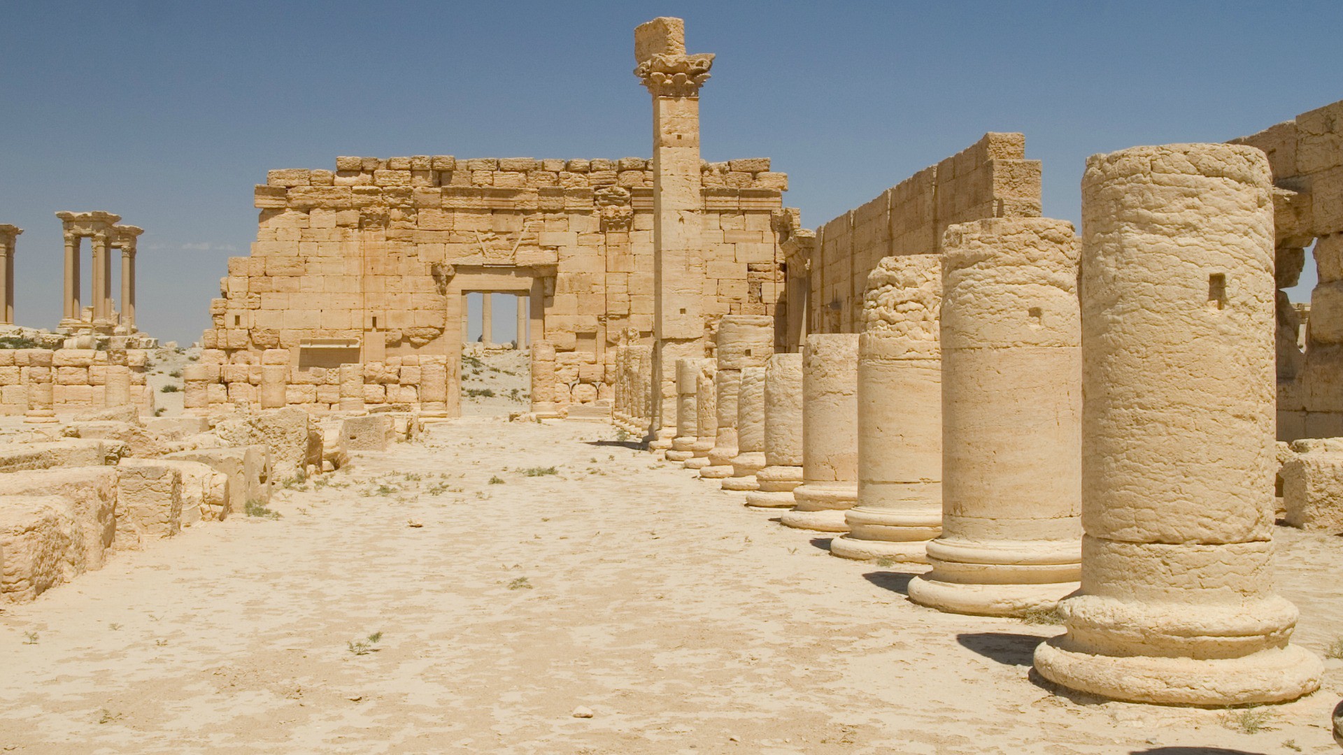 La cité de Palmyre, en Syrie, a été occupée moins d'un an par Daech (Photo:Alper Cugun/Flickr/CC BY-NC 2.0)