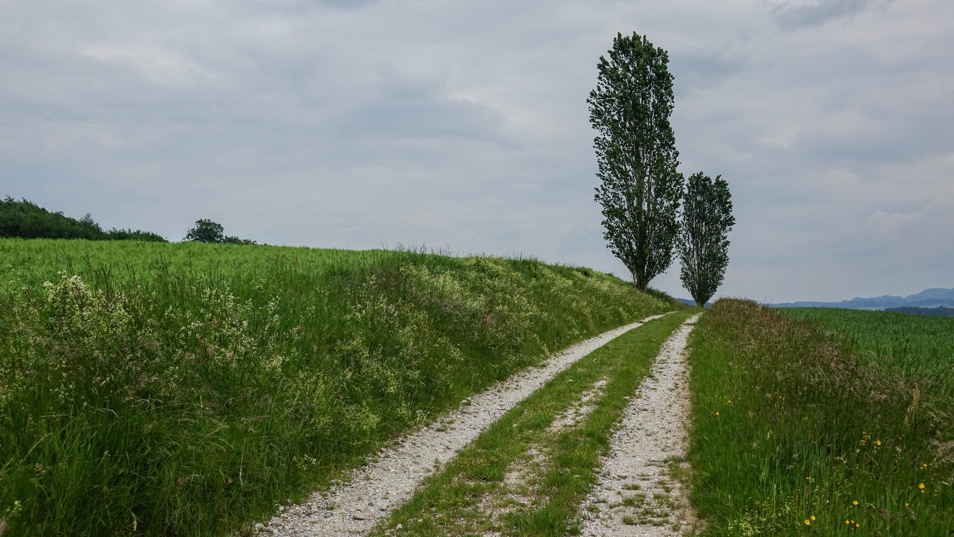 "Si Dieu est avec moi, s’il me garde sur le chemin où je marche, s’il me donne du pain pour manger et des vêtements pour me couvrir." (Gn28,20) (Photo Maurice Page)