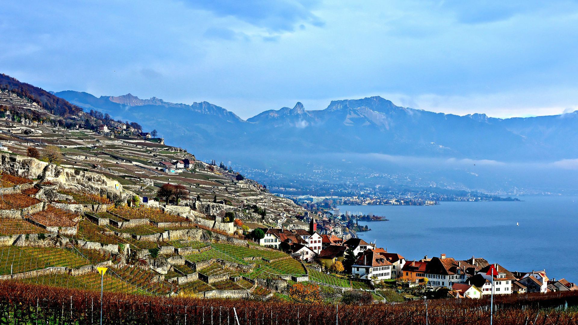 Vue sur le Lavaux, dans le canton de Vaud (Photo:Diegojack/Jacques/Flickr/CC BY-NC-ND 2.0)