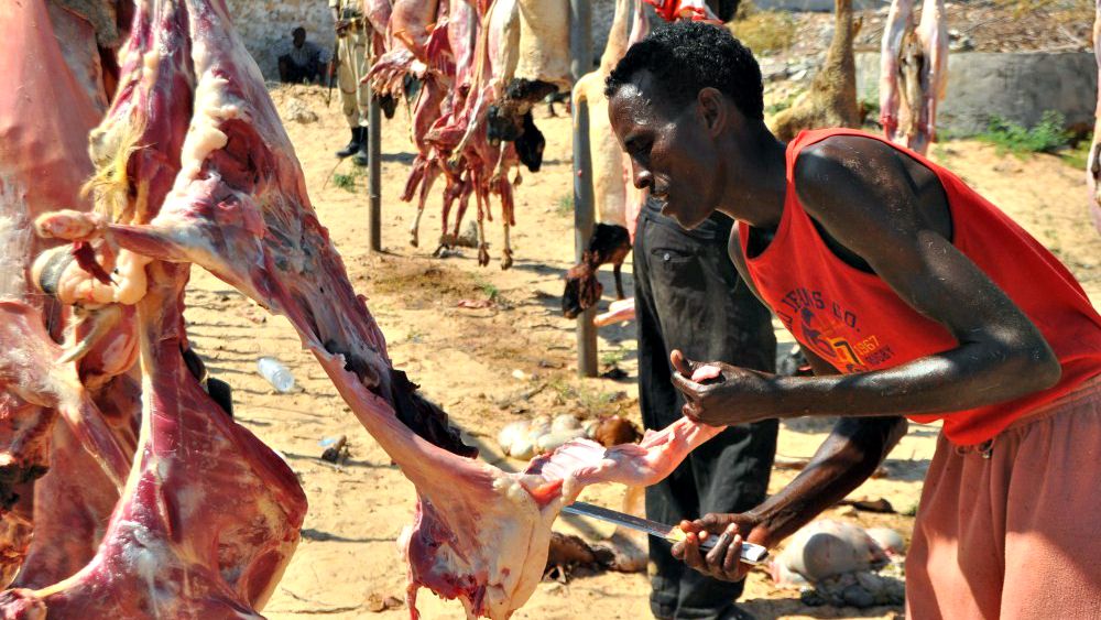 En Afrique, l'Aïd al-Adha a été célébrée dans le calme (Photo:IHH/Flickr/CC BY-NC-ND 2.0)