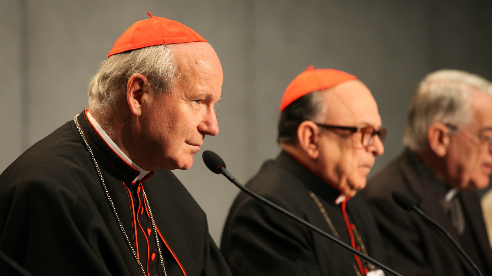 Mgr Christoph Schönborn, archevêque de Vienne (Photo: B. Hallet)