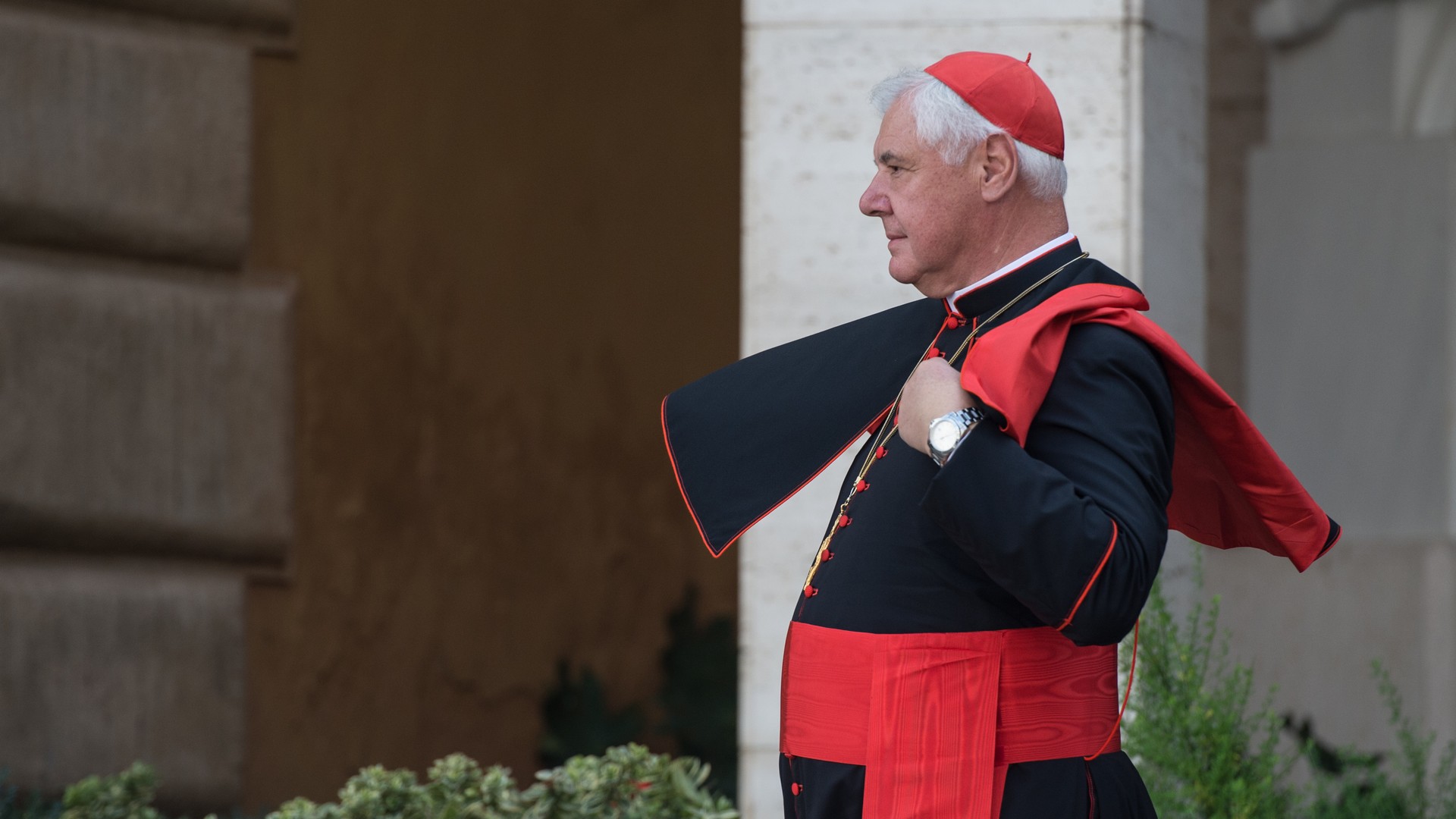  Le cardinal Gerhard-Ludwig Müller, préfet émérite de la Congrégation pour la doctrine de la foi (photo: Flickr Catholic Church of England and Wales CC BY-NC-SA 2.0)