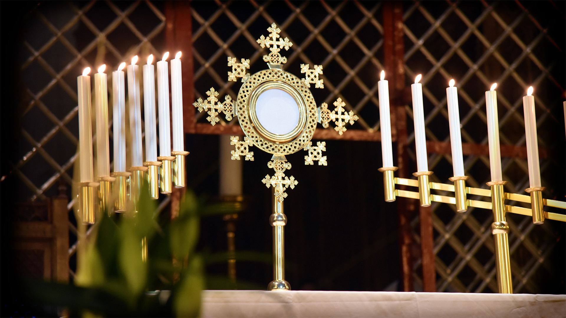 Adoration eucharistique lors des JMJ de Fribourg en mai 2015 (Photo: Pierre Pistoletti)