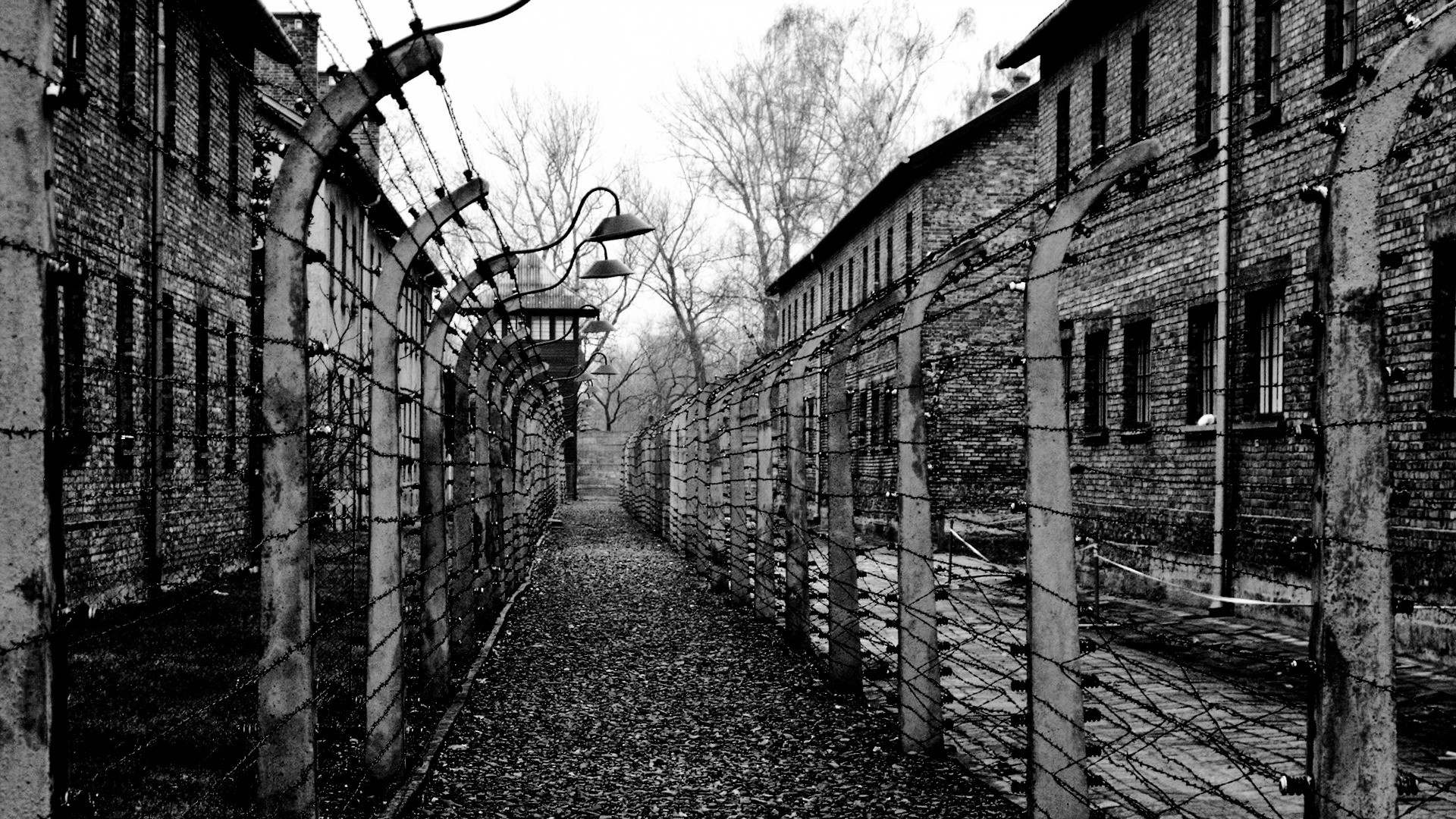 Camp d'Auschwitz, en Pologne | © Flckr/MrJamesAckerley/CC BY-NC 2.0