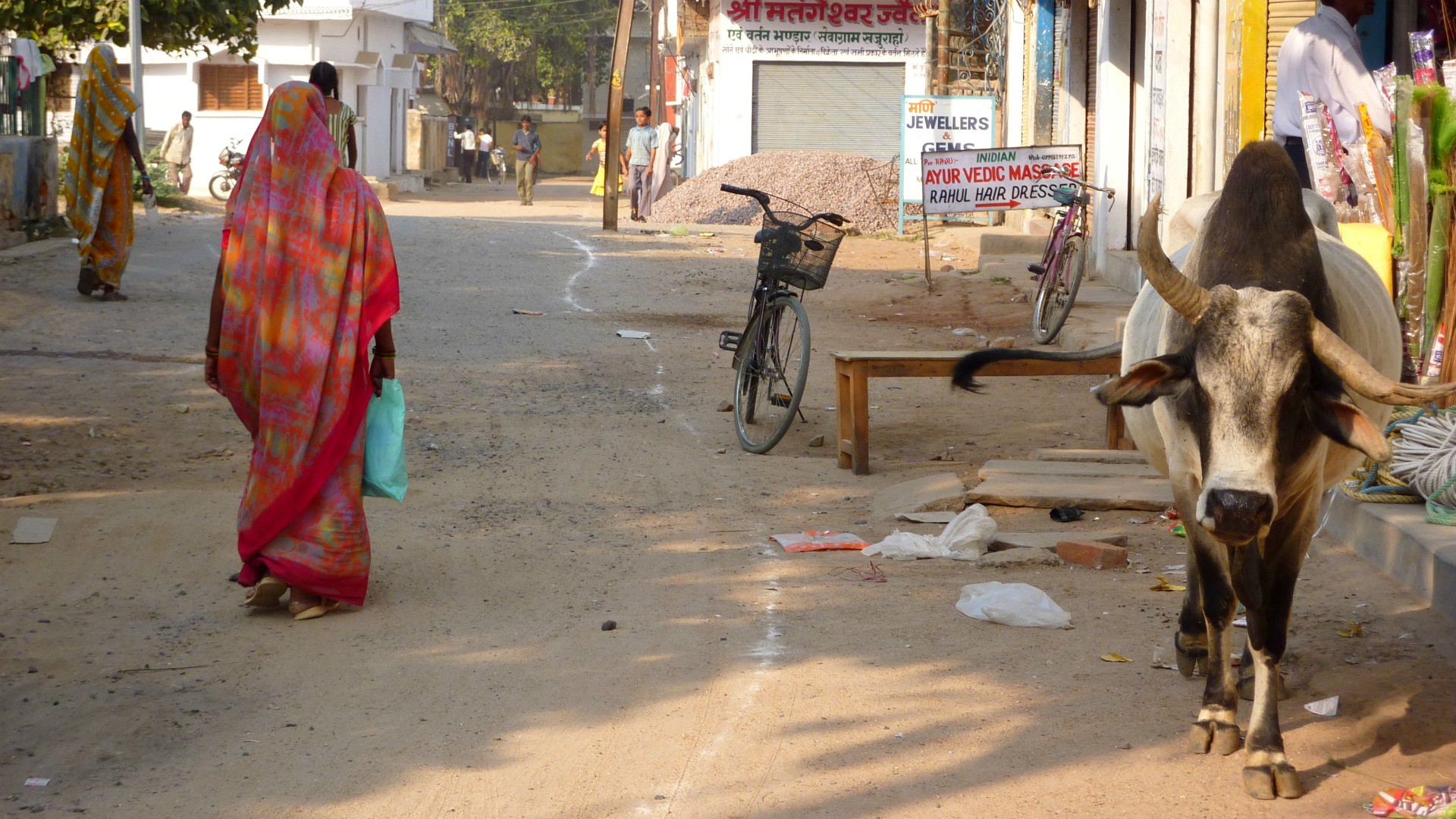 Village dans l'Etat du Madhya Pradesh , où le BJP, le parti nationaliste hindou, est au pouvoir depuis douze ans. (Photo: Flickr/Khajuraho/CC BY-NC-ND 2.0)
