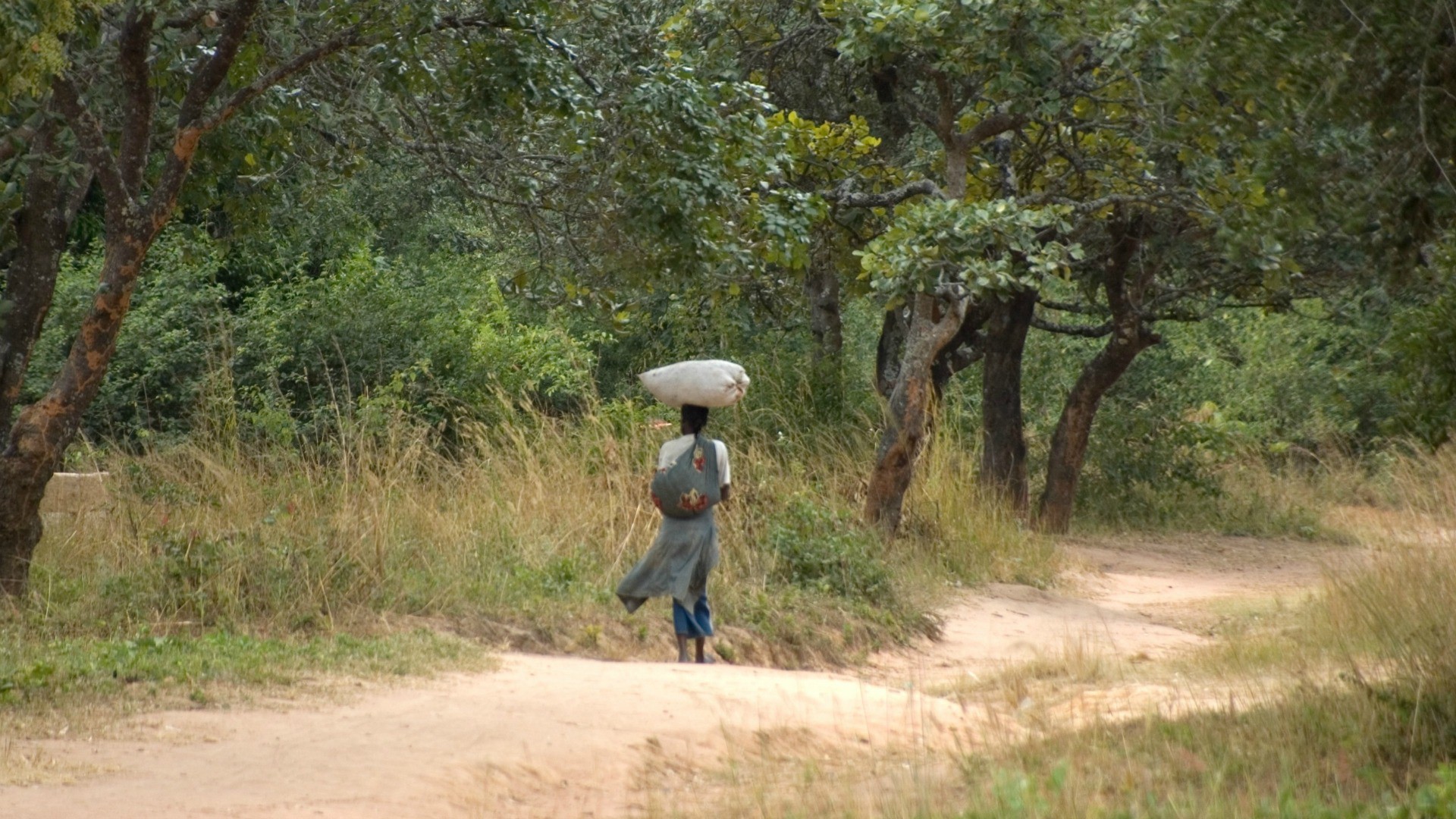 La Zambie a connu, depuis 1990, un des plus forts taux de déforestation. (Photo:Flickr/Jeff Walker-CIFOR/CC BY-NC-ND 2.0)