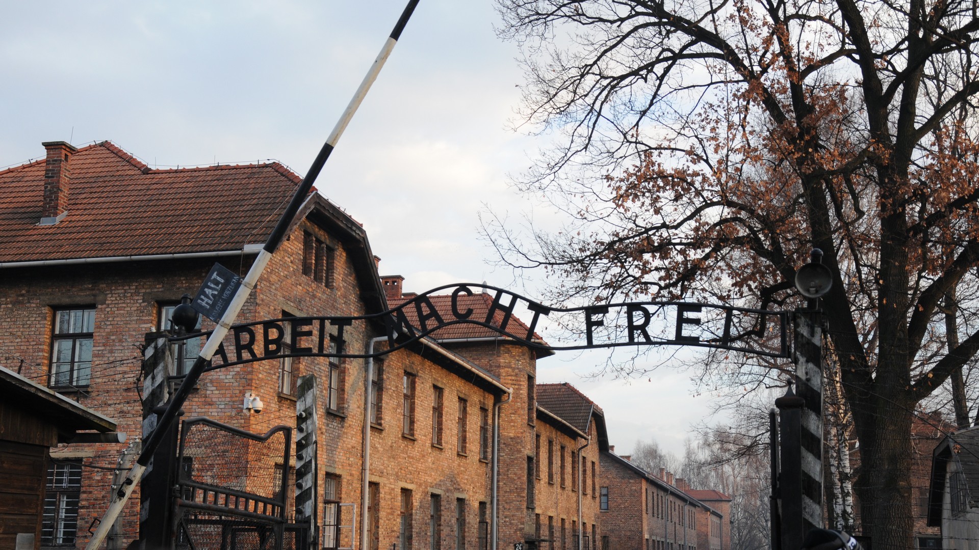 Camp de concentration nazi d'Auschwitz | © Maurice Page  