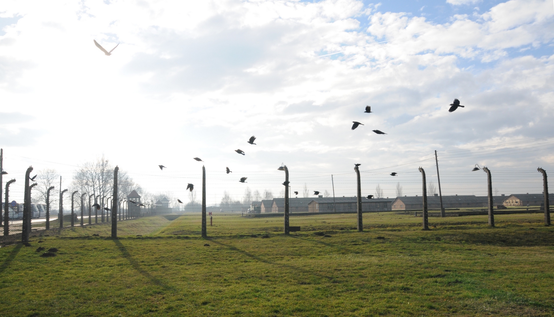 Camp de concentration nazi d'Auschwitz-Birkenau (photo Maurice Page) 