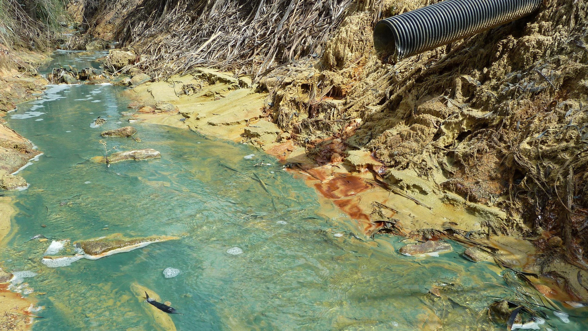 L’exploitation minière pollue l’eau de la rivière Rively près de Johannesburg. (©Pain pour le prochain/Daniel Tillmanns) 