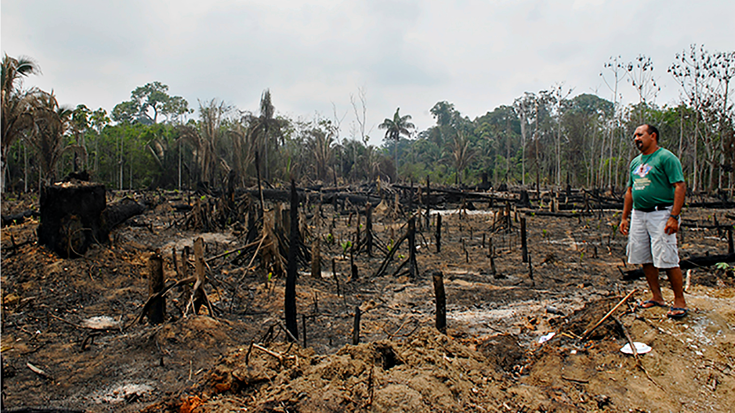 La déforestation ravage l'Amazonie et menace la survie des populations indigènes | © Jean-Claude Gerez 