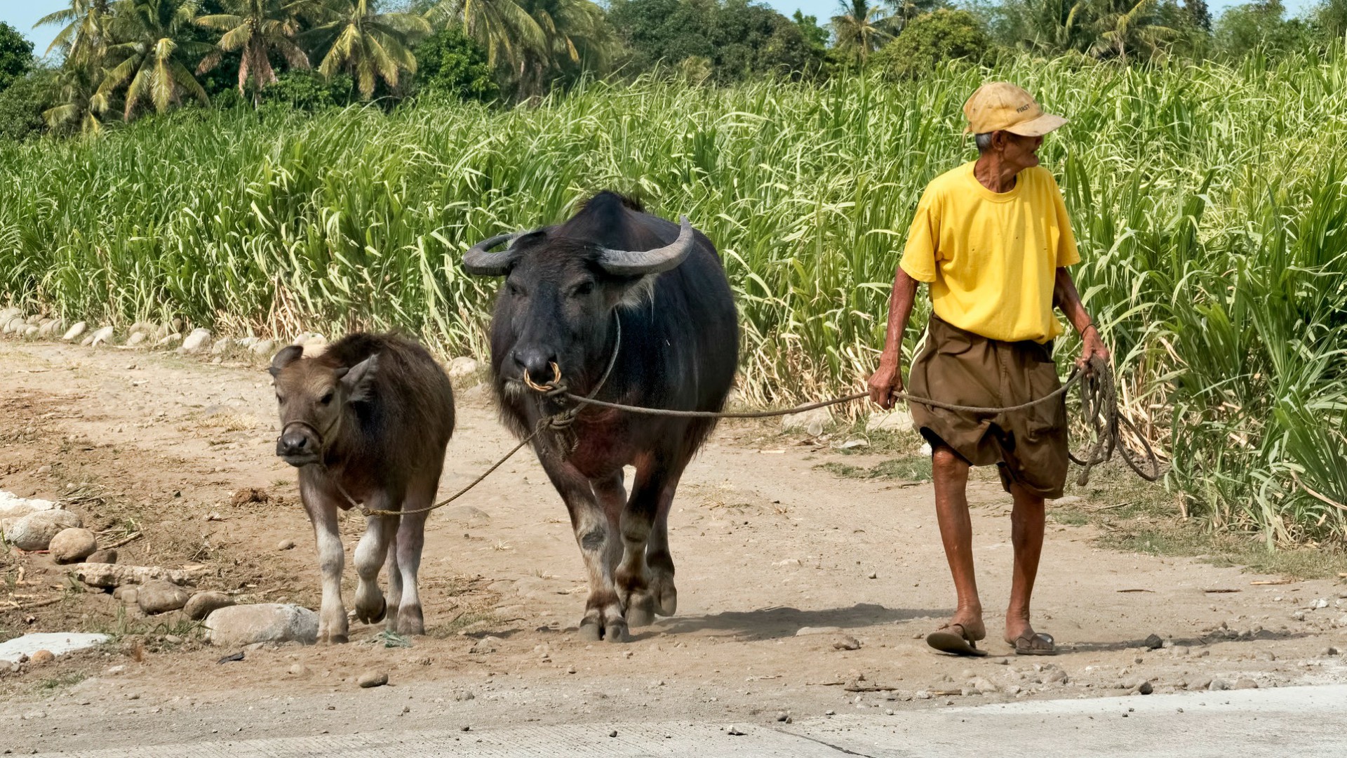 Les paysans de Mindanao sont confrontés à la sécheresse (Photo d'illustration:Brian Evans/Flickr/CC BY-ND 2.0)