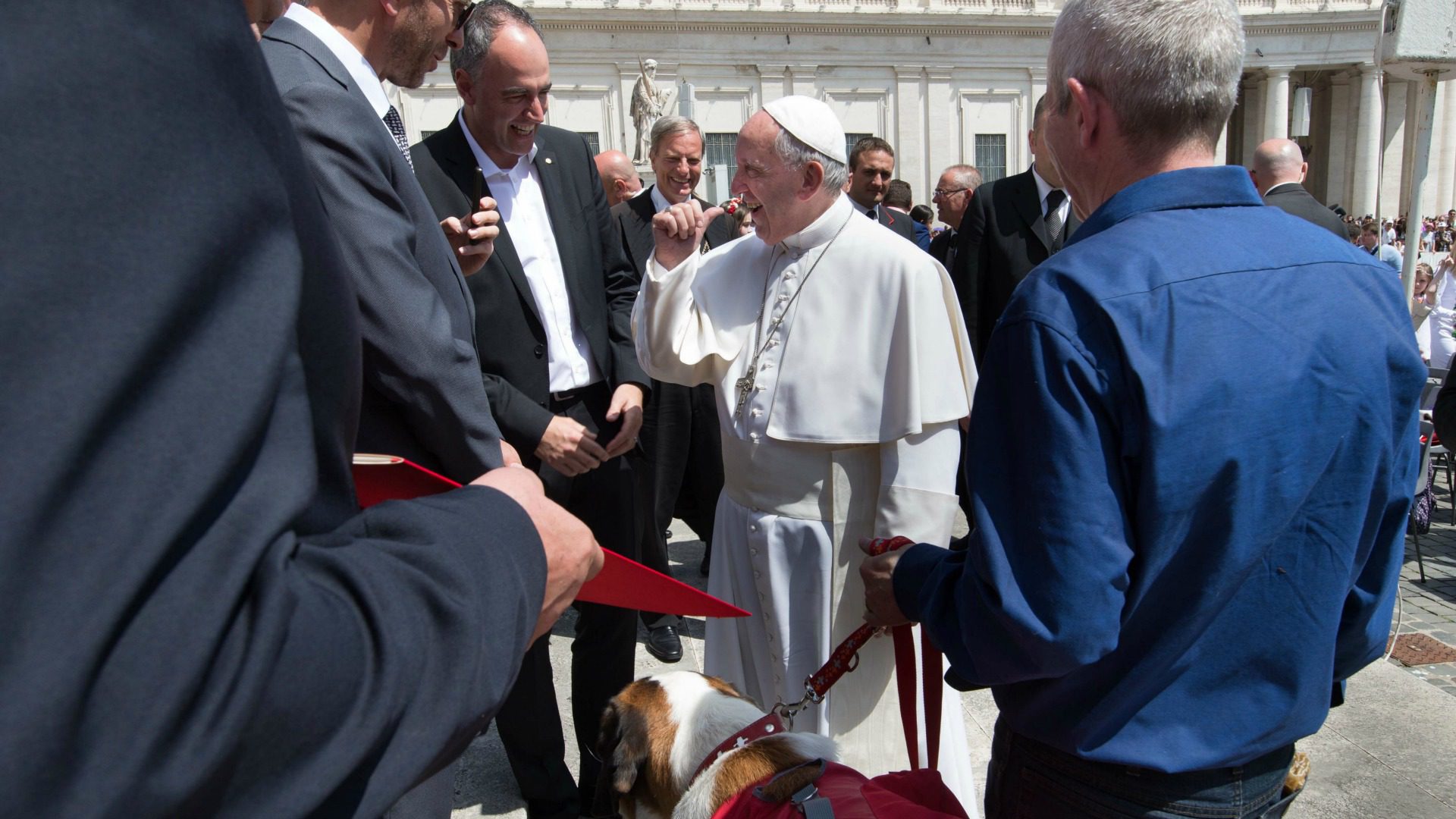 Le pape François a noté que Magnum, le saint-bernard, ne portait pas à son cou le célèbre tonnelet de schnaps. (Photo: Massimo Pedrazzini/Fondation Barry)