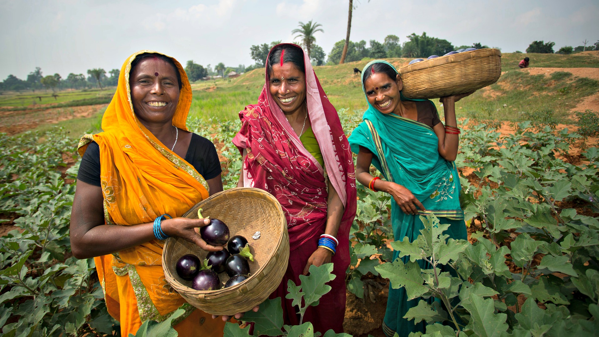 La souveraineté alimentaire bénéficie aussi aux agricultrices su Sud (Photo d'illustration:USAID/Flickr/CC BY-NC-ND 2.0)