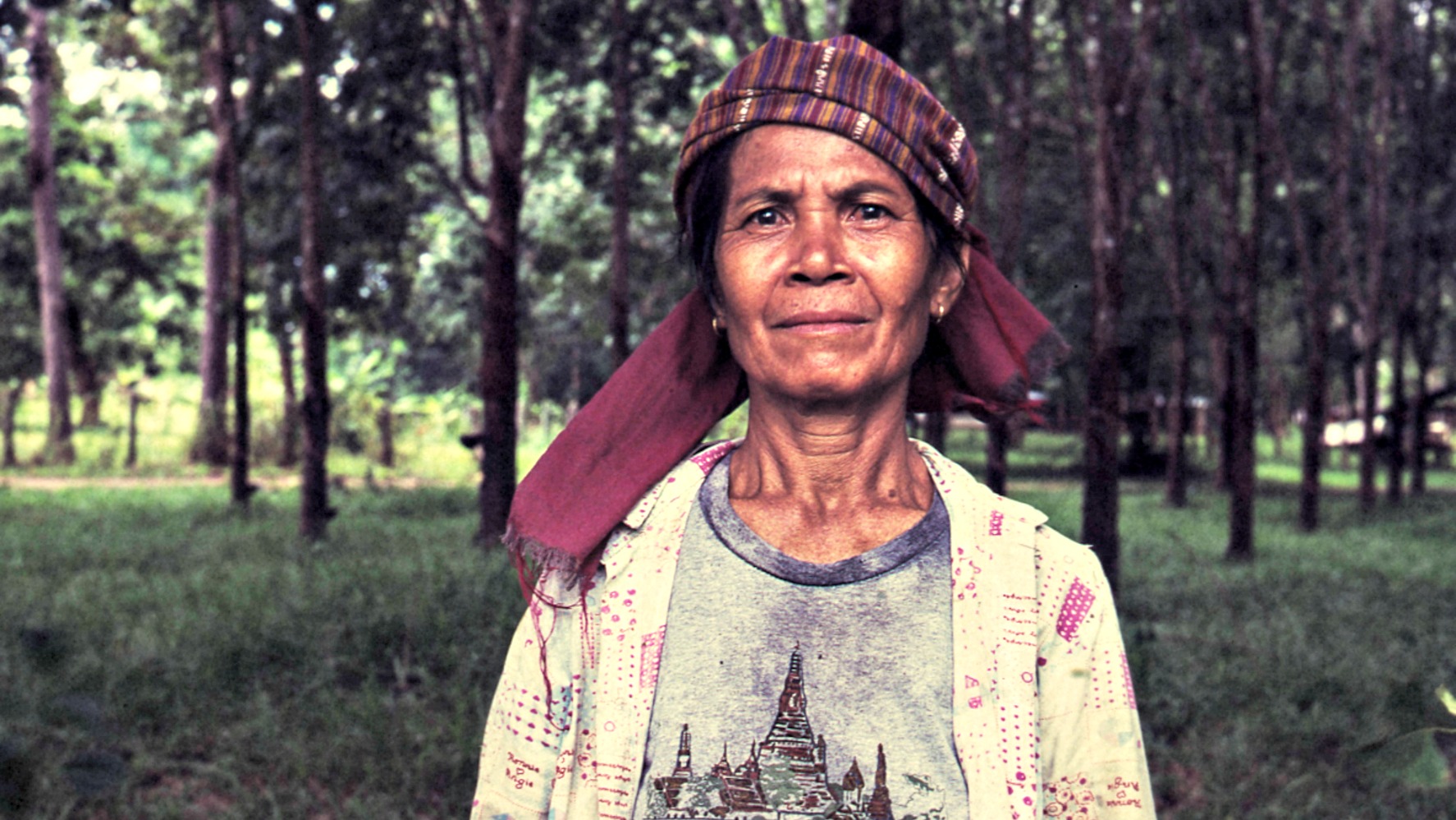 Les courageux paroissiens thaïlandais ont planté 800 arbres (Photo d'illustration:Ronn Aka "Blue" Aldaman/Flickr/CC BY-NC-ND 2.0)