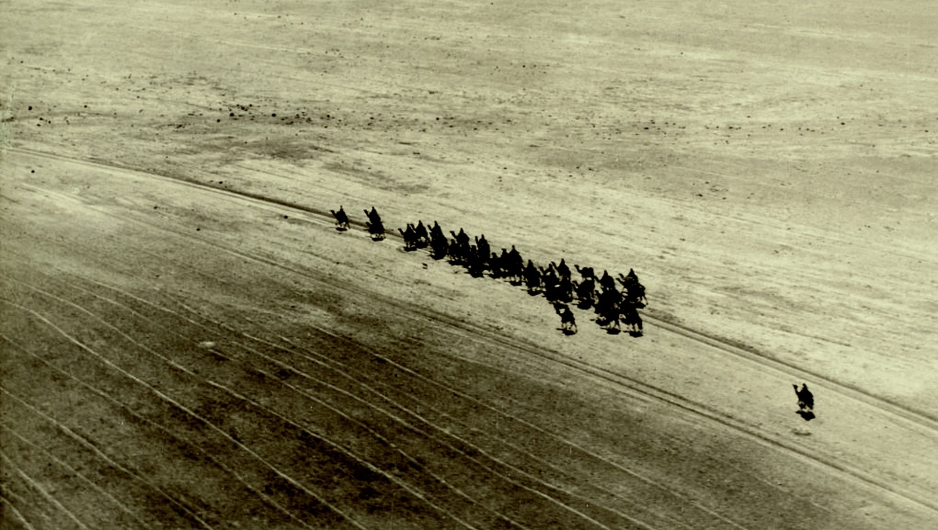 Une caravane dans le désert syrien (photo Antoine Poidebard, Bibliothèque nationale Beyrouth) 