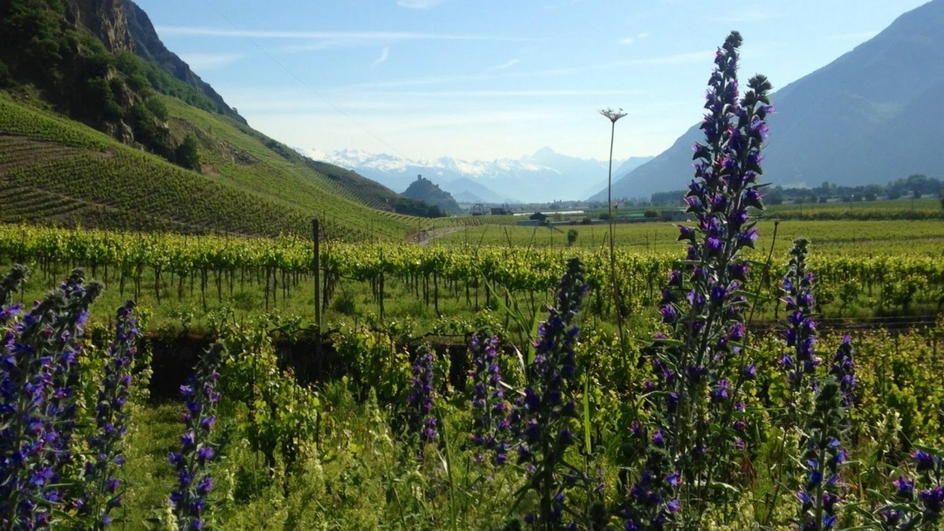 En marche vers Notre-Dame de Valère (photo: stmndv.ch)