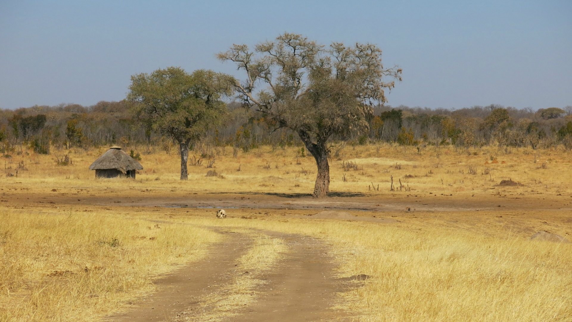 Région de Hwange, au Zimbabwe en 2013. (Photo: Flickr/M. Sprague/CC BY-SA 2.0)