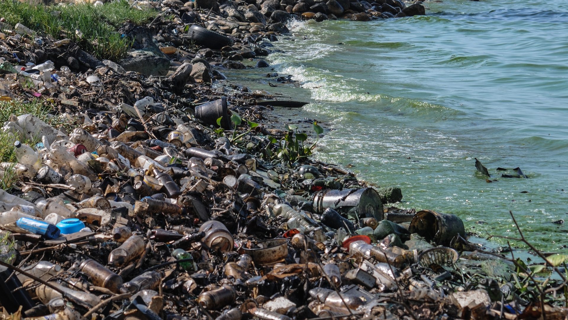 Des tonnes de déchets jonchent les eaux (photo Wikimeia commons The Photographer CC BY-SA 3.0)