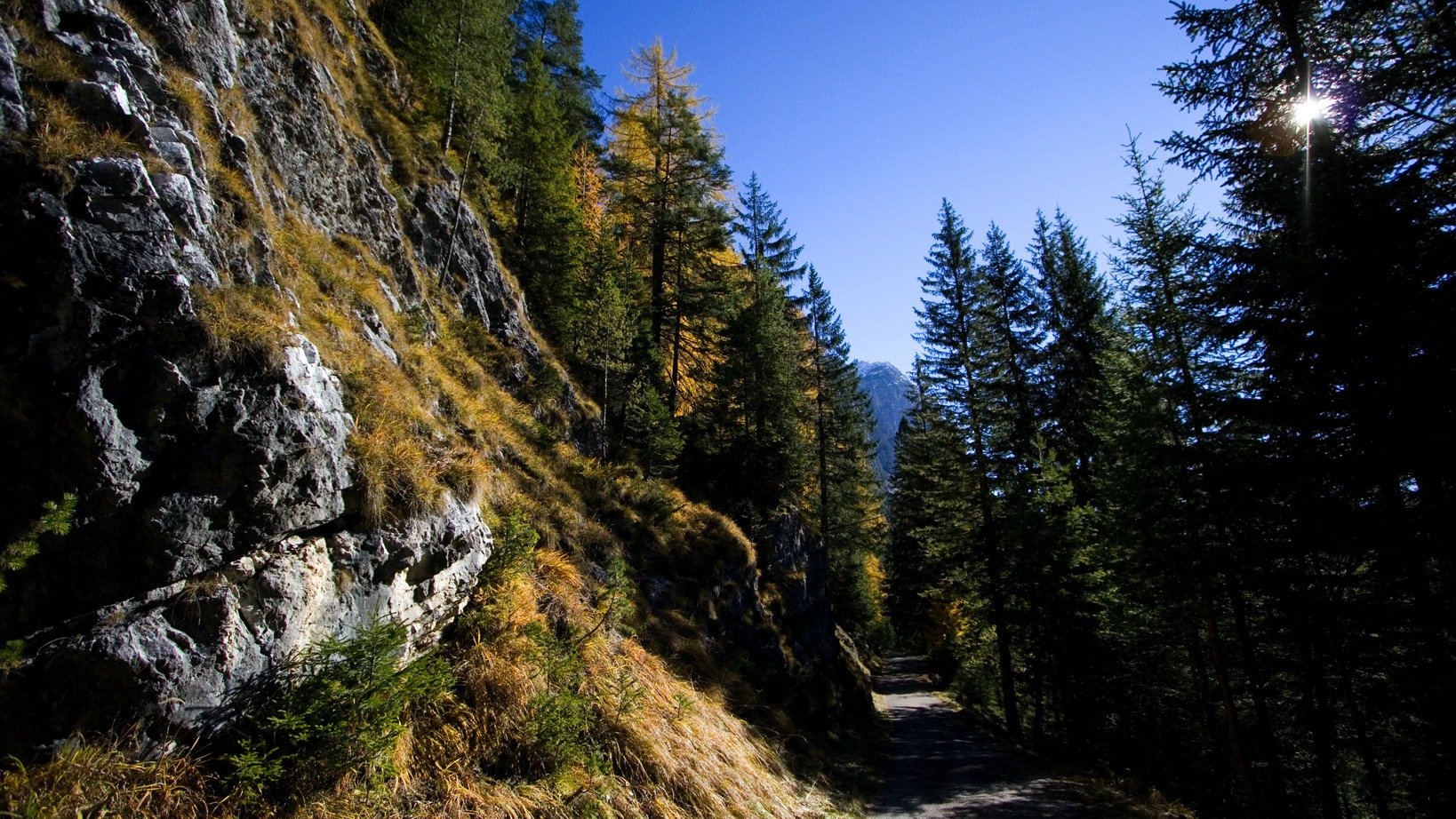 Le sapin qui orne la place Saint-Pierre vient des Dolomites, au nord de l'Italie (Photo: Kari Jo Skogquist/Flickr/CC BY-NC-ND 2.0)