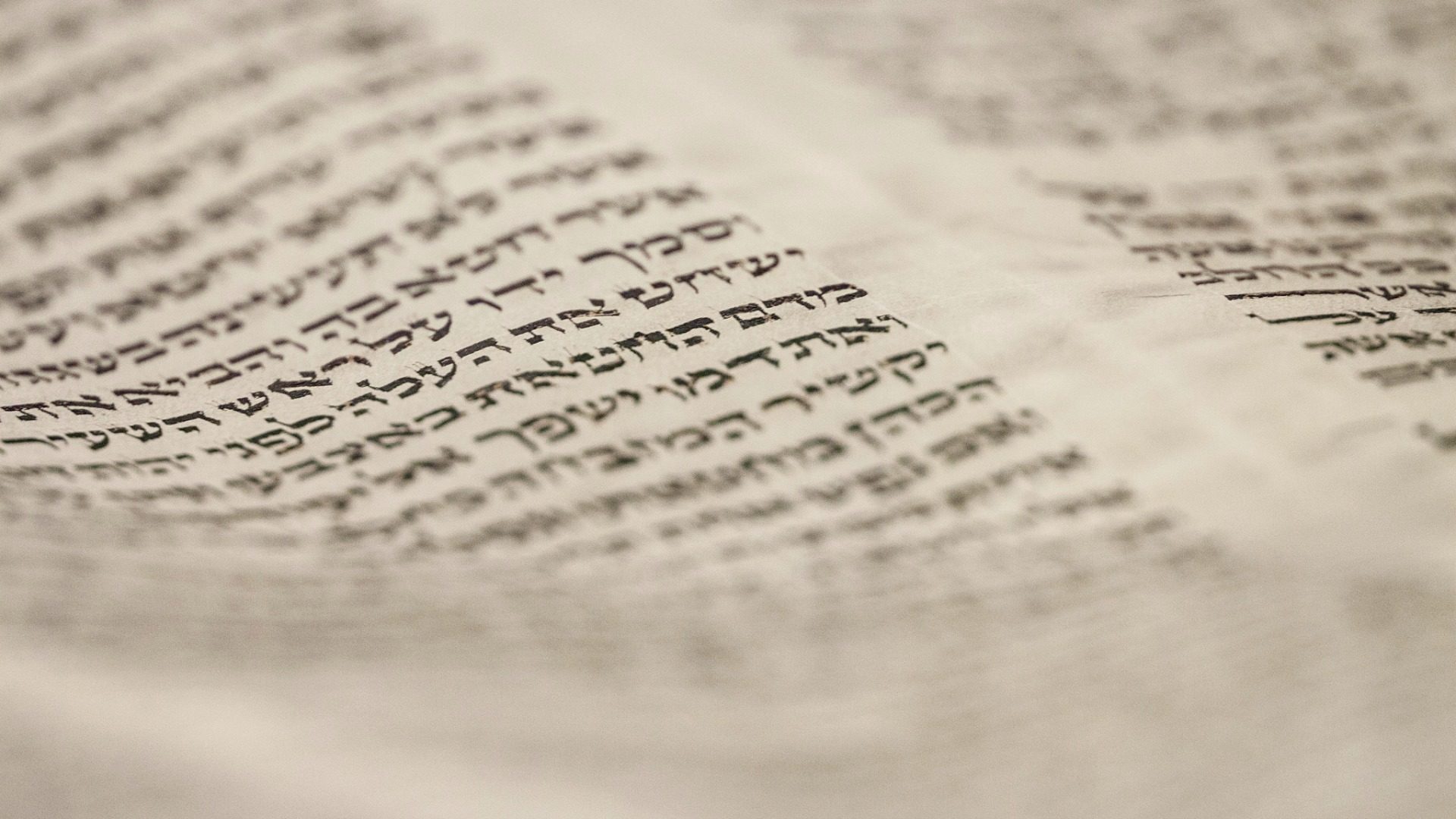 Illustration: un fragment de rouleau de Sefer Torah.  (Photo: Flickr/VCU Libraries/CC BY-NC 2.0)