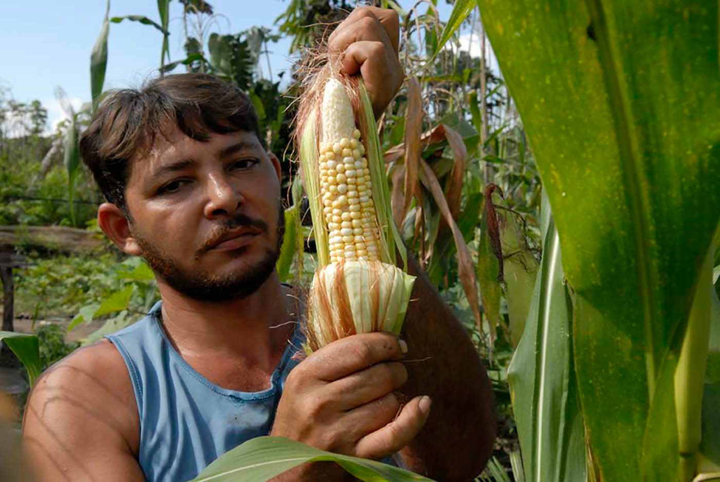 Les petits agriculteurs d'Amazonie sont particulièrement menacés. (Photo: J. C. Gerez)
