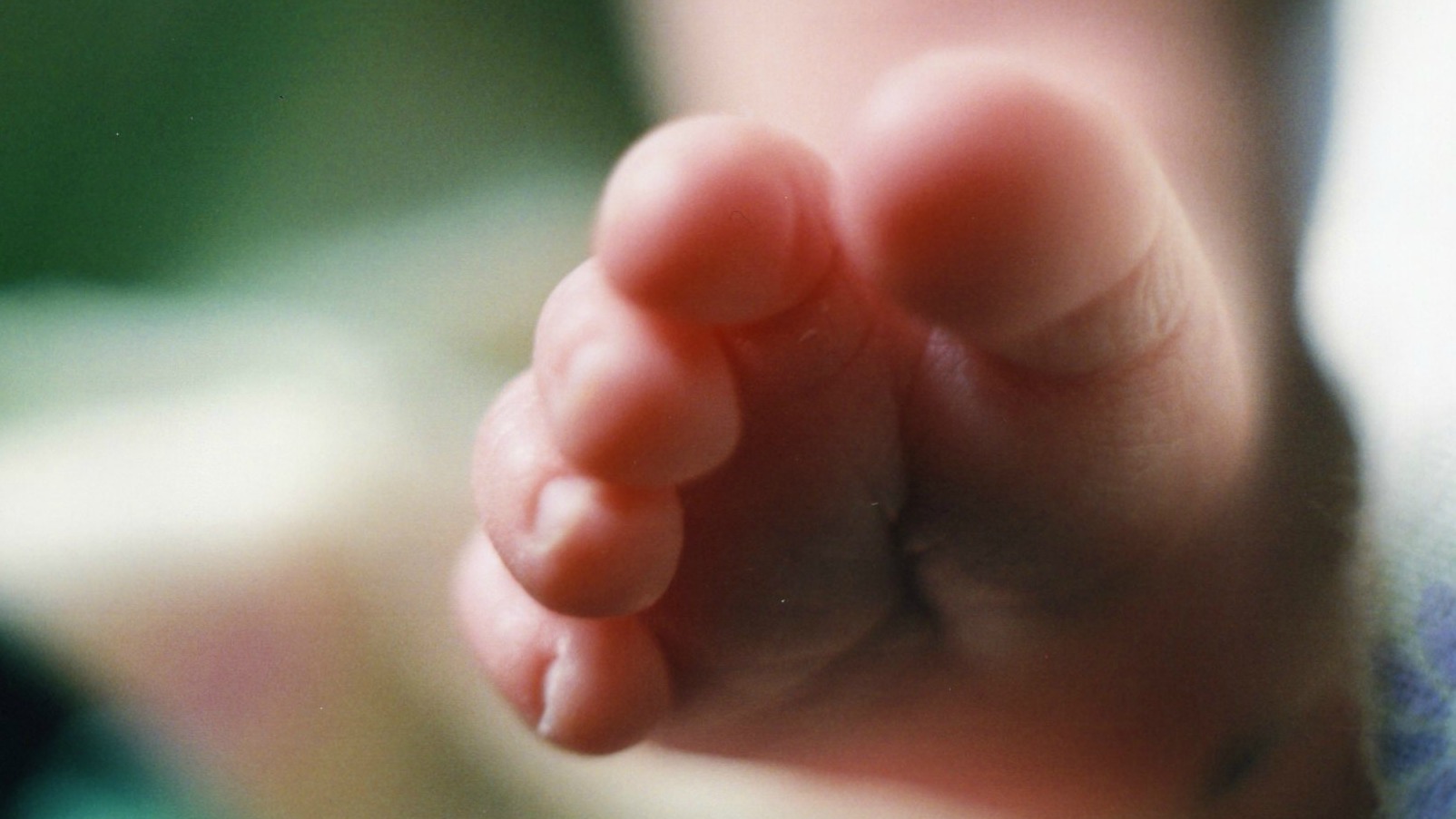 L'Eglise unie du Canada demande pardon pour les adoptions forcées  | Illustration: sabianmaggy/Flickr/CC BY 2.0)