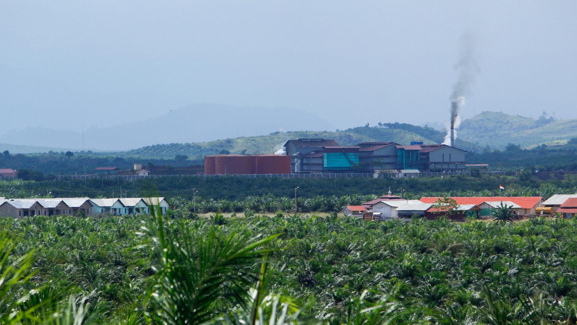 Une usine d'extraction d'huile de palme au Kalimantan occidental (photo PPP Urs Walter)