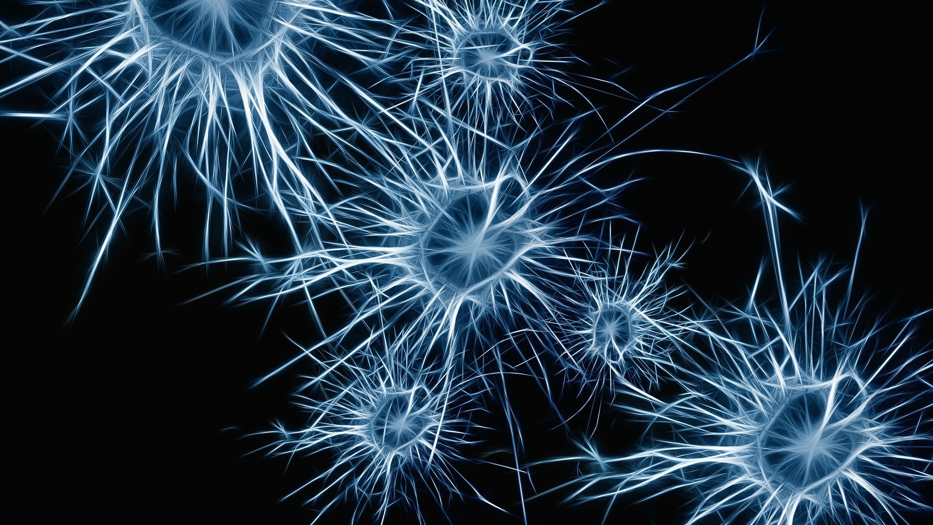 Jaime Maldonado-Aviles est émerveillé par la complexité des systèmes neuronaux (Image:Pixabay.com)