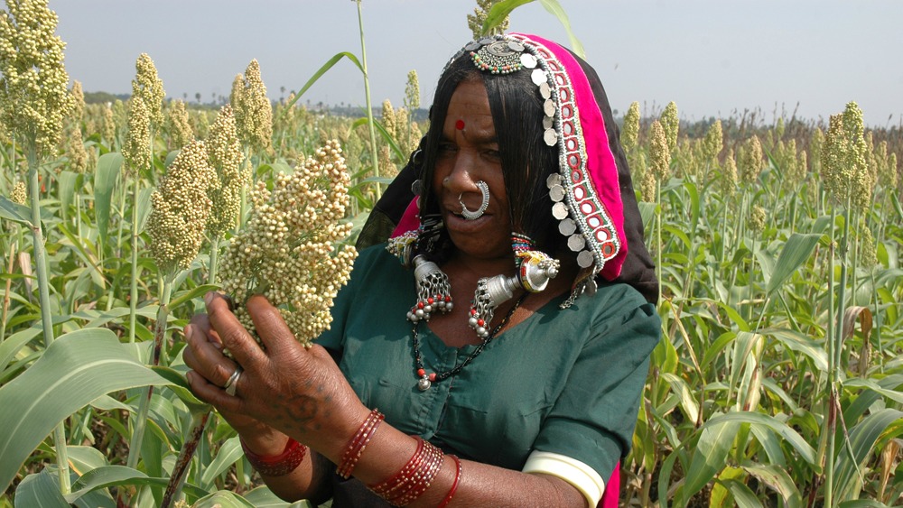 Action de Carême mène des programmes de développement dans 14 pays (Photo d'illustration: ICRISAT/Flickr/CC BY-NC 2.0)