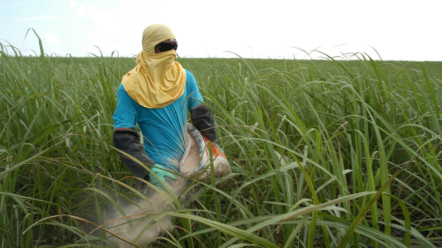 L'agriculture brésilienne utilise massivement les pesticides (Photo: Jean-Claude Gerez)