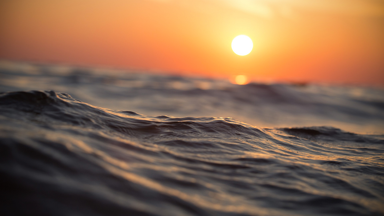 "Patrimoine commun de l’humanité", les océans représentent 70% de la superficie de la terre | © Pixabay