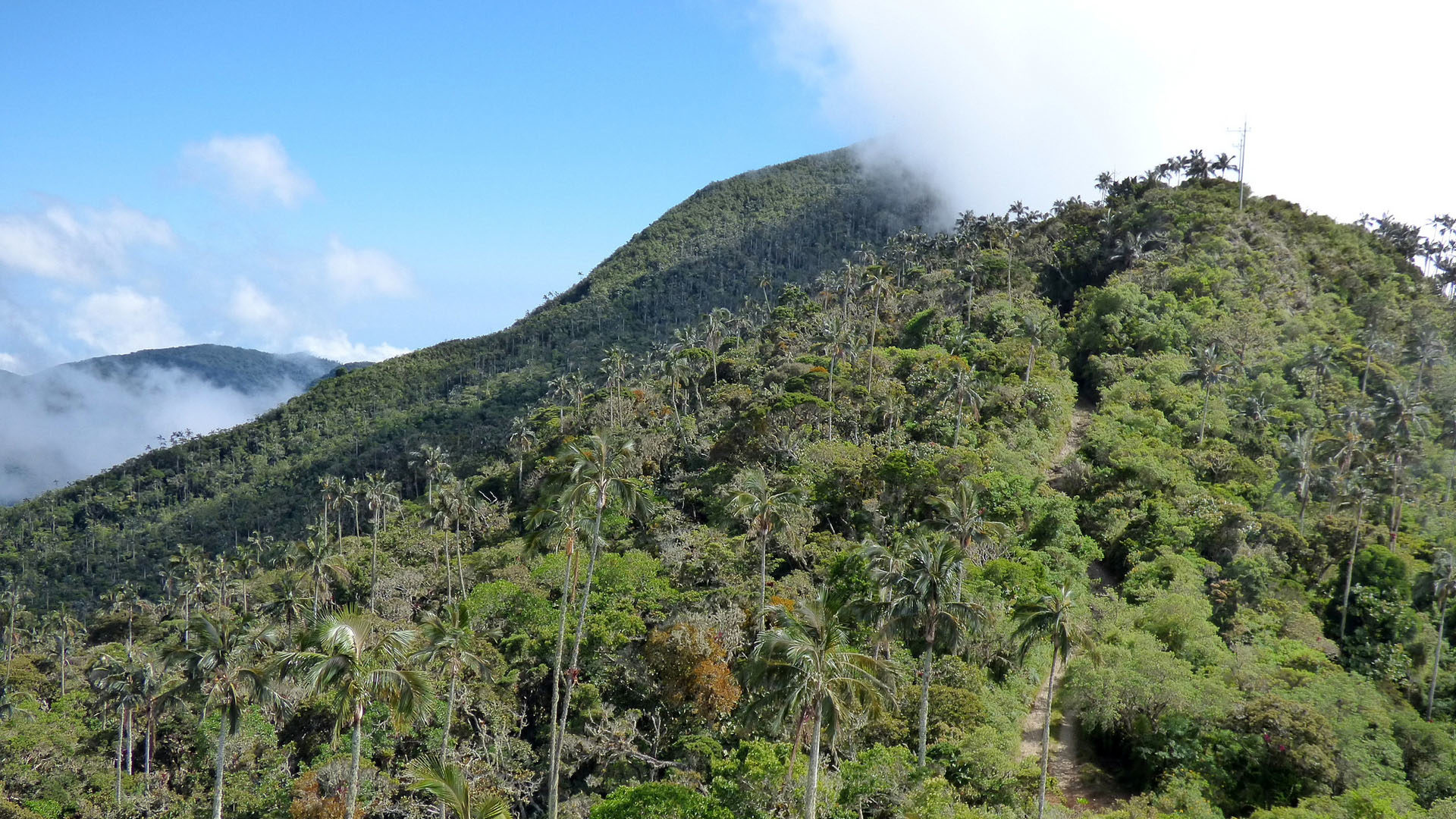 La persécution contre les peuples indigènes chrétiens s'intensifient dans la Sierra Nevada de Santa Marta (Photo: Flickr/A. Bayer Tamayo/CC BY-SA 2.0)