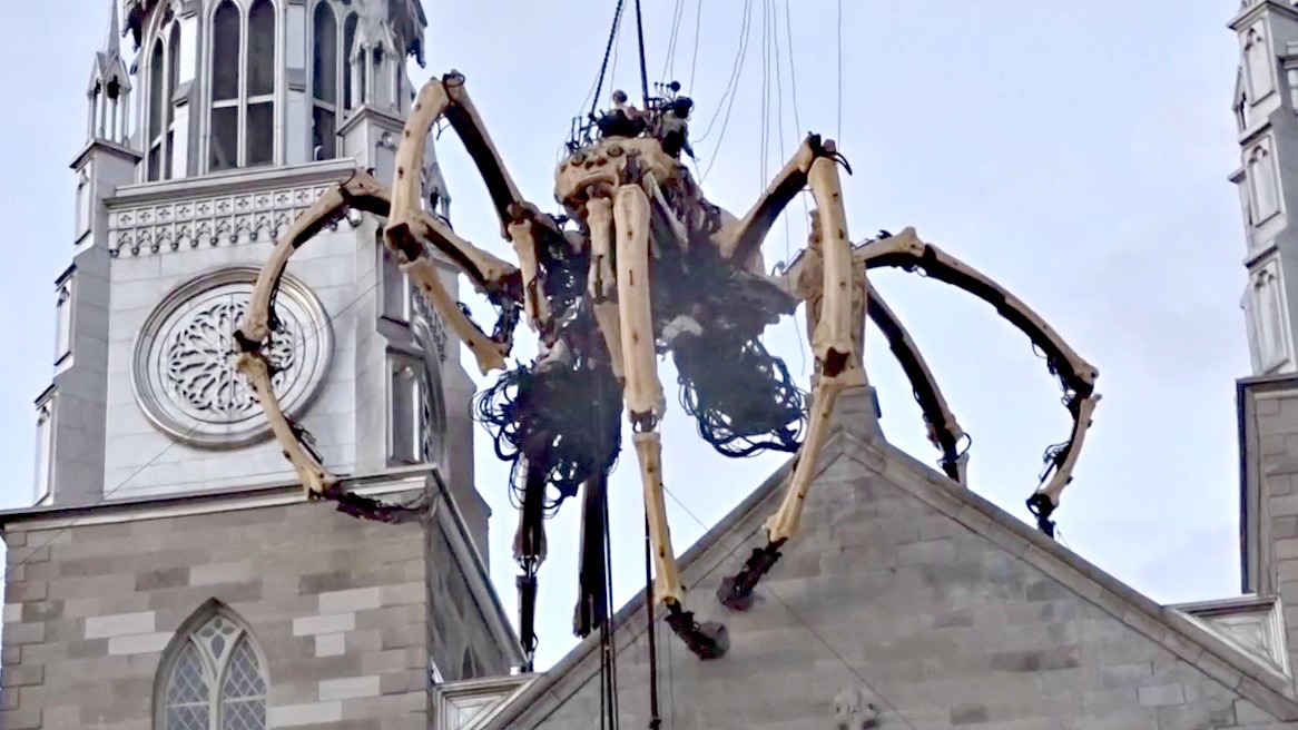 "Kumo" a fait sensation en haut de la cathédrale d'Ottawa (Photo:YouTube.com)