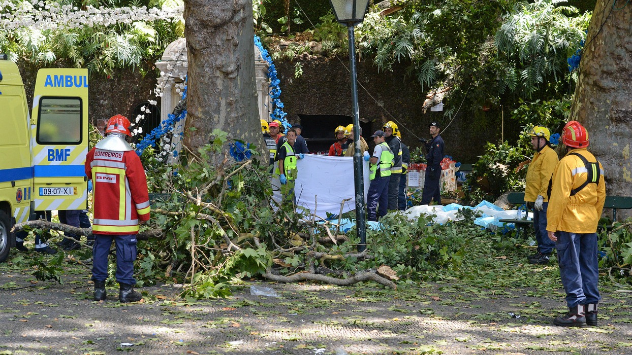 De nombreuses personnes étaient ensevelies sous les branches (Photo:Helder Santos/Keystone)
