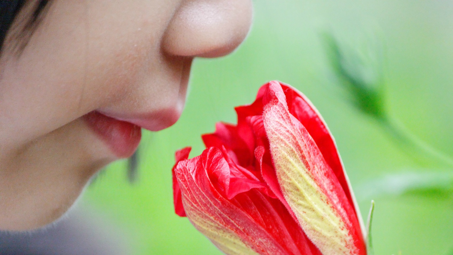 Redécouvrir le sens "ancestral et mystérieux" de l'odorat (Photo: Dennis Wong/Flickr/CC BY 2.0)