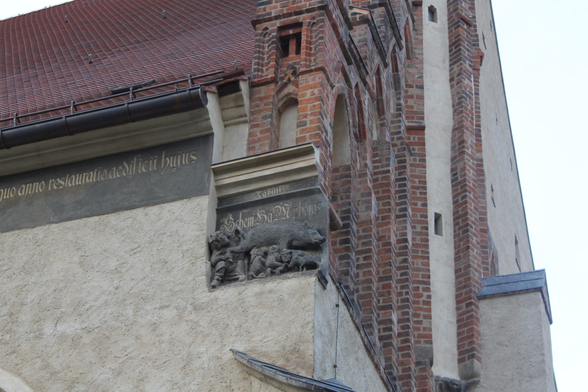 Sur l'église de Lutherstadt-Wittemberg en Saxe-Anhalt, un porc symbolisant l'antisémitisme  (photo Bernard Litzler)