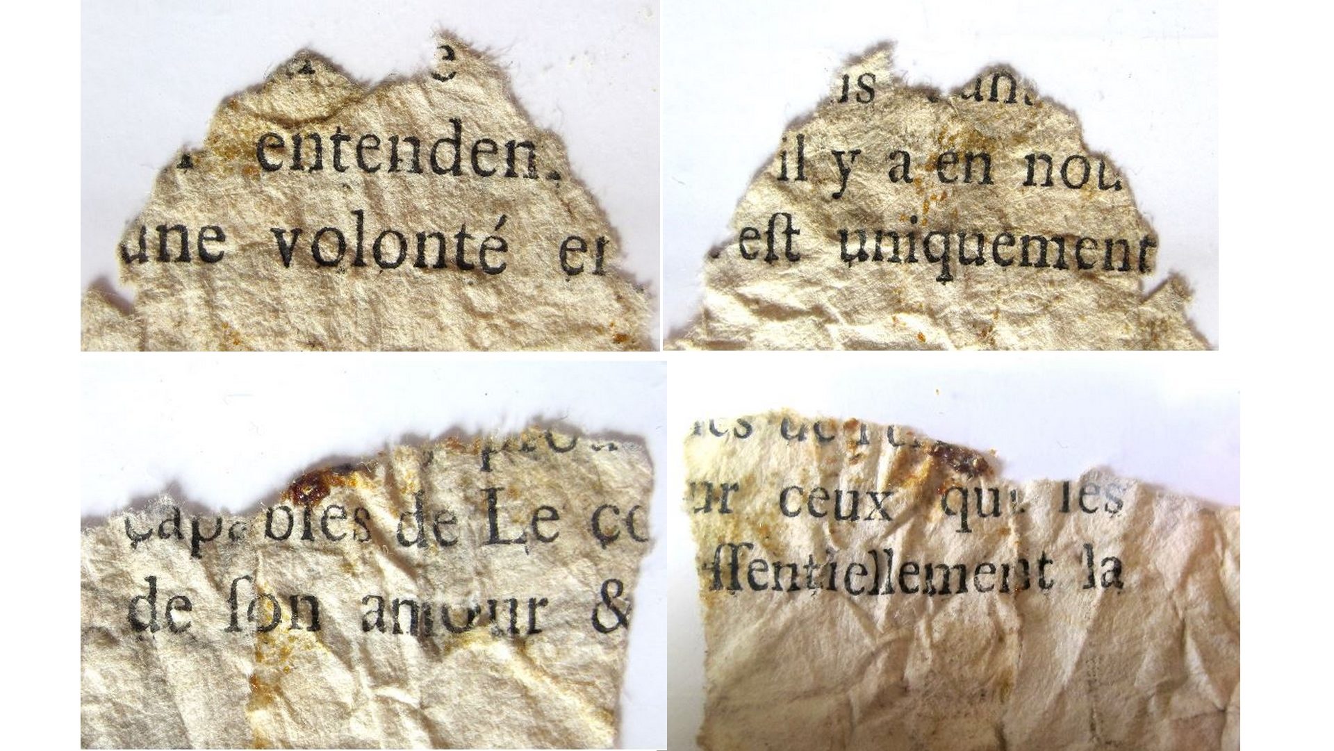 Les quatre fragments du livre que l'Abbaye de St-Maurice cherchent à identifier (Abbaye de St-Maurice)