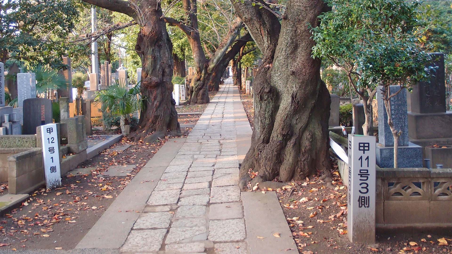 Le cimetière bouddhiste de Nippori, à Tokyo, au Japon | Flickr / Guilhem Vellut / CC BY 2.0)
