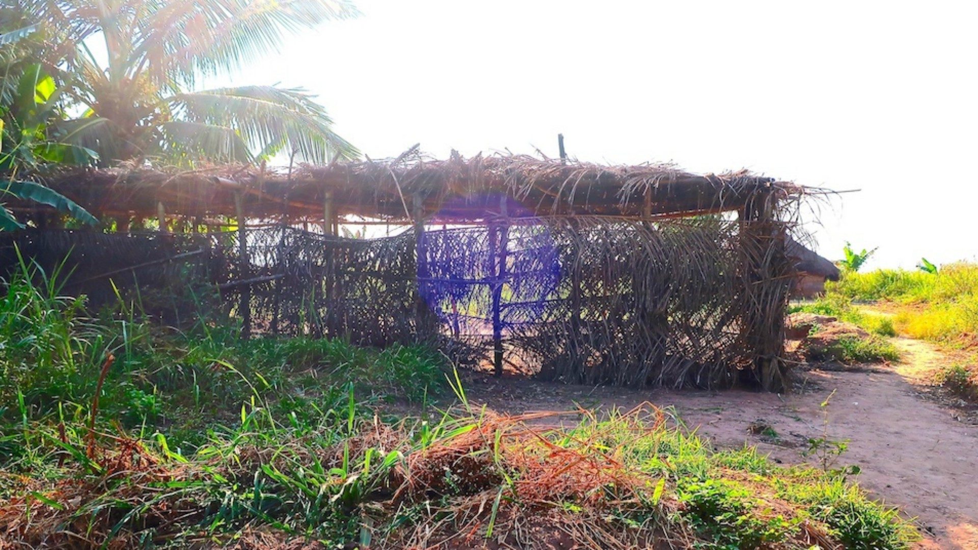 En République démocratique du Congo, les "églises" ne sont parfois que de simples hangars de paille | © Guy Luisier