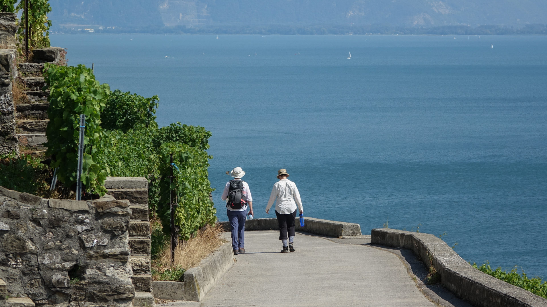 Le balcon de Lavaux fascine les marcheurs | © Maurice Page