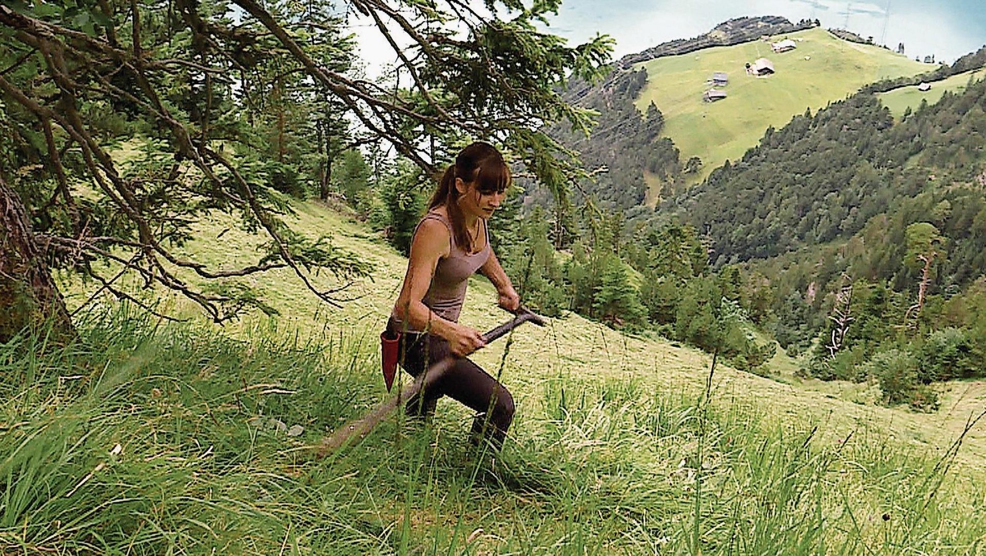 Film documentaire „Der Wildheuer – Senkrecht über dem Urnersee (faner à pic au-dessus du lac d’Uri)“ du réalisateur lucernois Beat Bieri.